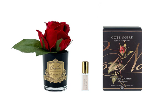 COTE NOIRE ROSE BUD IN RED IN BLACK