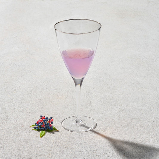 HAMMERED GLASS SLVR RIM SET OF 6