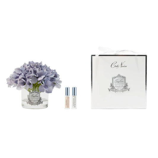 HYDRANGEA BLUE & WHT BOX
